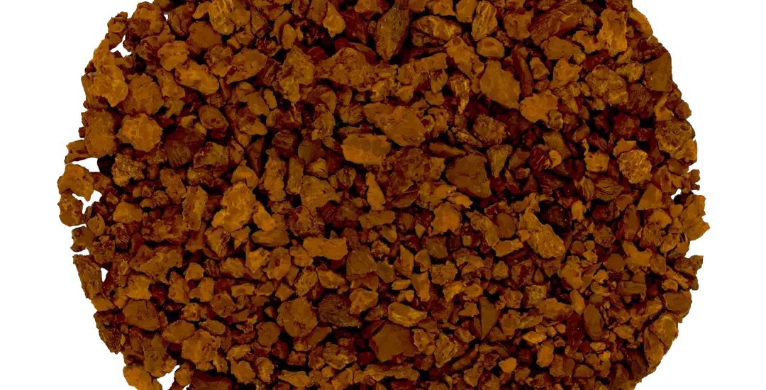 featured image